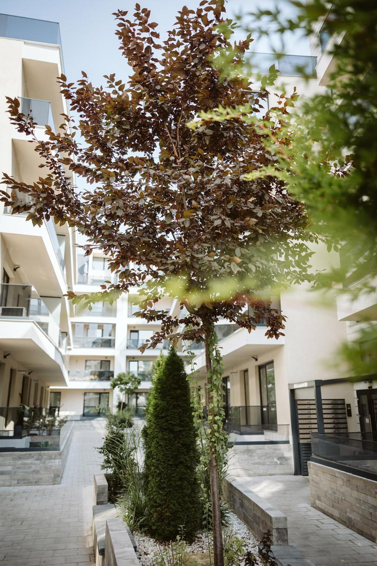 Dec Apartments بوخارست المظهر الخارجي الصورة